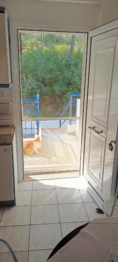 Siviri Sea & Forest-Cozy Apartment With Garden & Nature Views Exterior photo