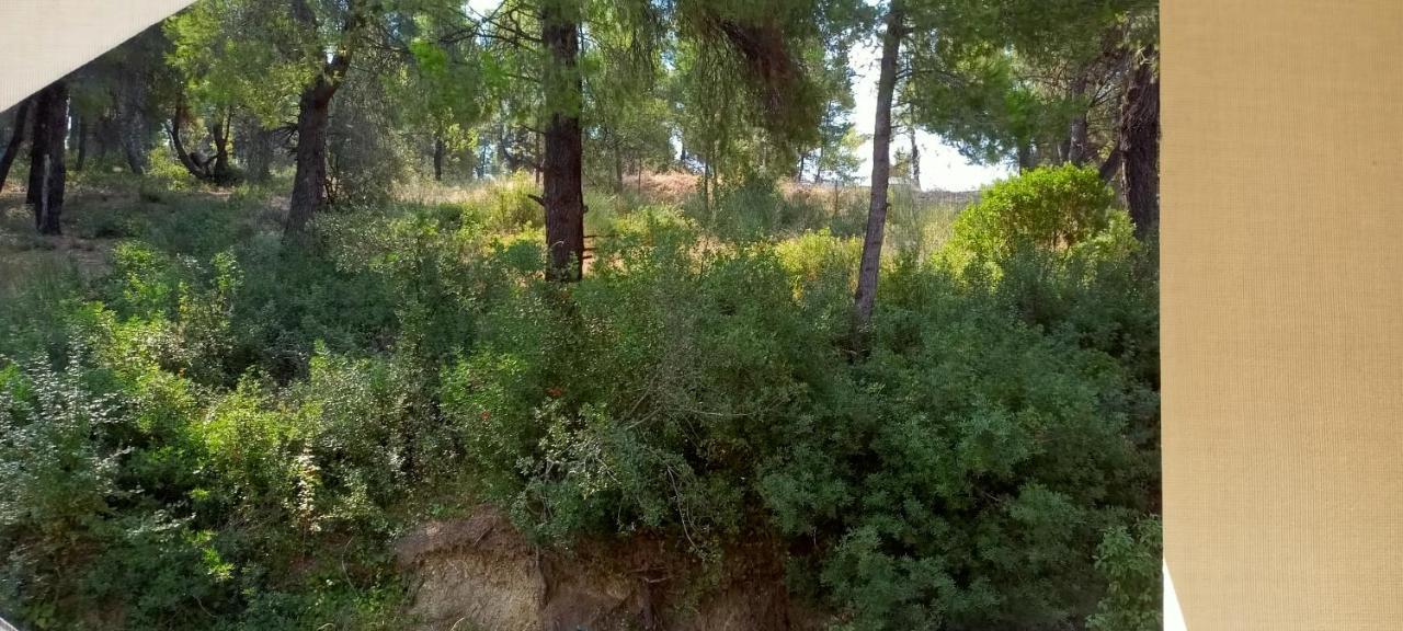 Siviri Sea & Forest-Cozy Apartment With Garden & Nature Views Exterior photo