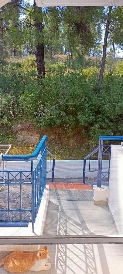 Siviri Sea & Forest-Cozy Apartment With Garden & Nature Views Exterior photo